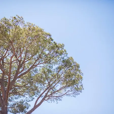 Villa Les Ondes Vi4120 *