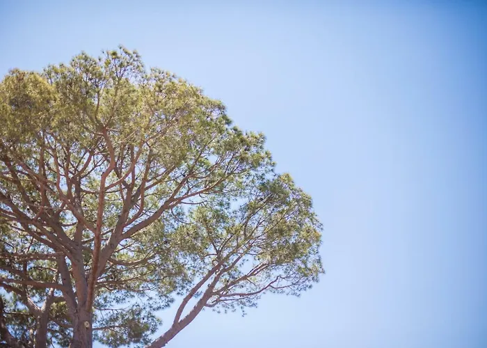 Villa Les Ondes Vi4120 *